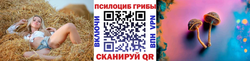blacksprut рабочий сайт  купить наркоту  Калач  Псилоцибиновые грибы ЛСД 